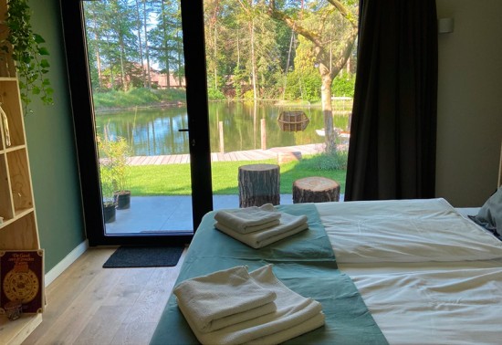 nederland-droom-in-het-bos nederland-droom-in-het-bos