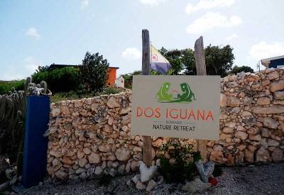 thumb_bonaire-dos-iguana thumb_bonaire-dos-iguana