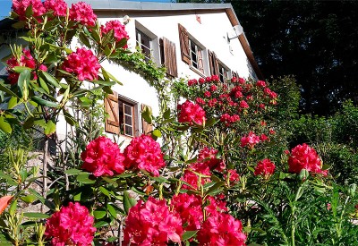 thumb_frankrijk-ptitmonde thumb_frankrijk-ptitmonde