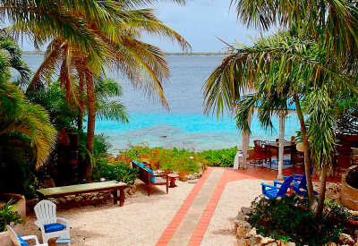 thumb_bonaire-laughing-seahorse