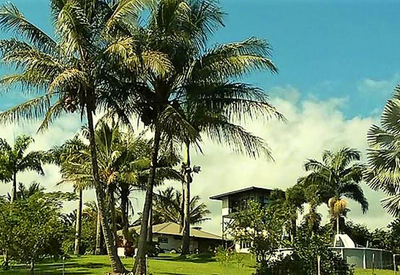 thumb_hawaii-island-goode-s