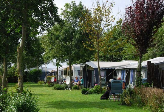 minicamping-duinhoeve minicamping-duinhoeve