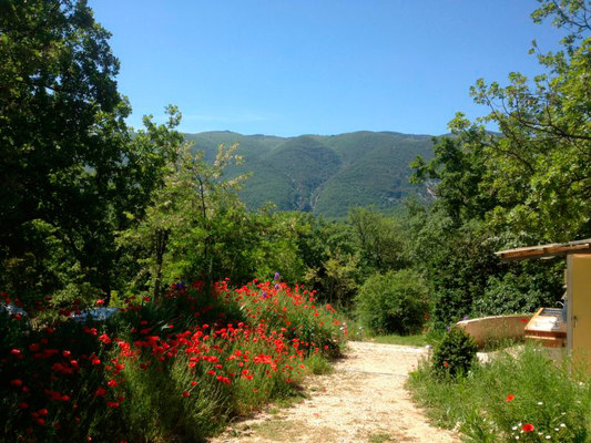 frankrijk-aire-naturelle-les-joncquiers frankrijk-aire-naturelle-les-joncquiers