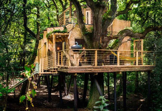 verenigd-koninkrijk-the-woodsmans-treehouse