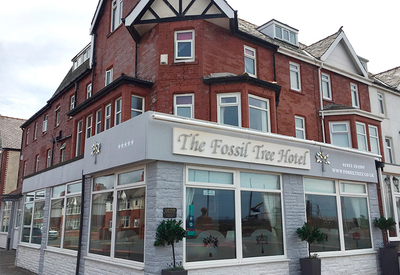 thumb_verenigd-koninkrijk-the-fossil-tree