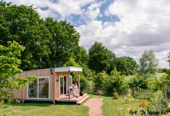 nederland-de-nieuwe-riet nederland-de-nieuwe-riet