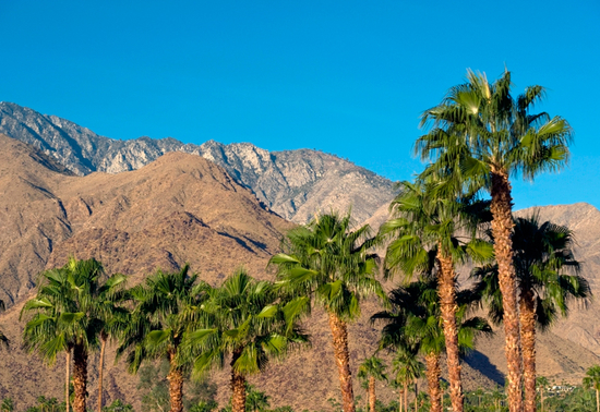 californie-desert-sun-resort californie-desert-sun-resort