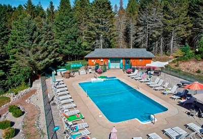 thumb_michigan-spruce-hollow